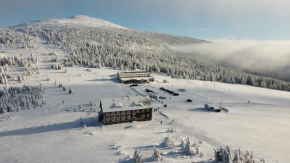 Гостиница Hotel Spindlerova Bouda  Шпиндлерув Млын